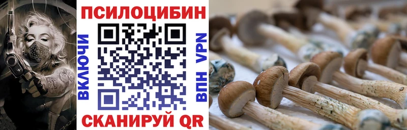 Галлюциногенные грибы ЛСД  это клад  Райчихинск 